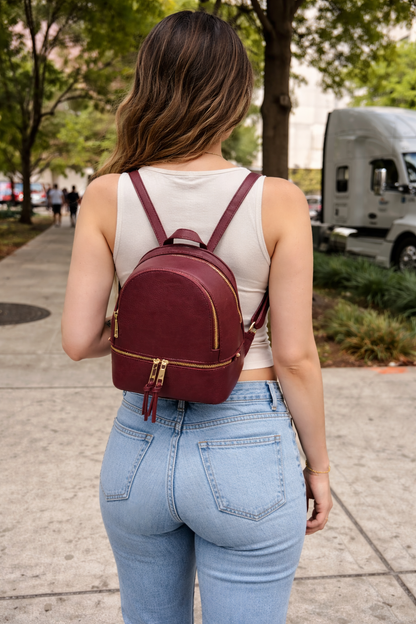 Alisal Premium Backpack - Small